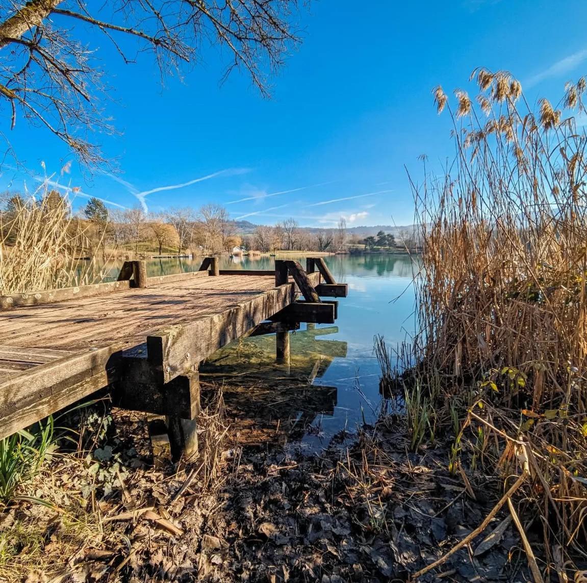 Studio Entre Lacs Et Montagnes Rumilly  Luaran gambar